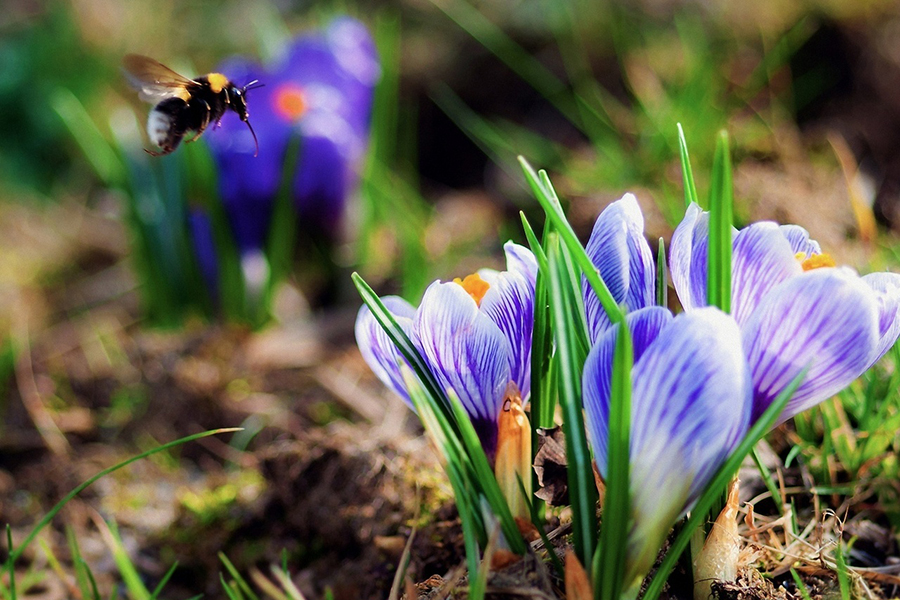 � ���������� ����� � �����!