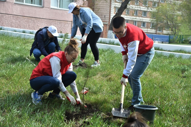 COVID-19: студент ОмГТУ стал организатором акции «Аллея памяти» COVID-19: студент ОмГТУ стал организатором акции «Аллея памяти»