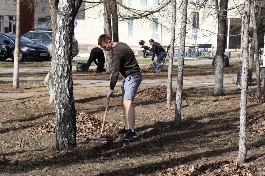 Политехники приняли участие в городском субботнике Политехники приняли участие в городском субботнике