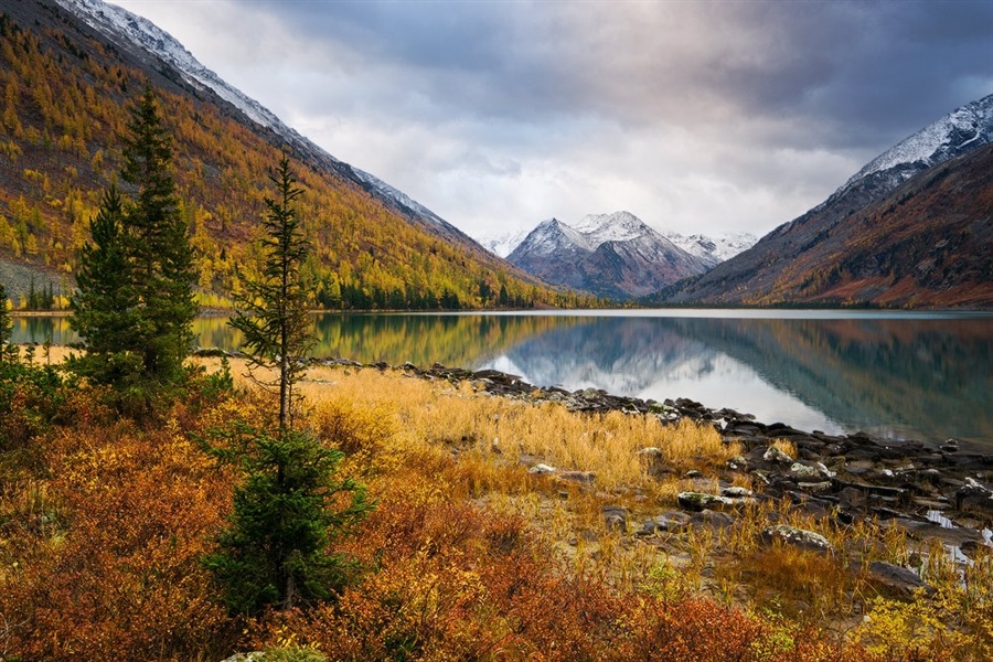 ОмГТУ приглашает проверить свои знания по экологии и географии России ОмГТУ приглашает проверить свои знания по экологии и географии России