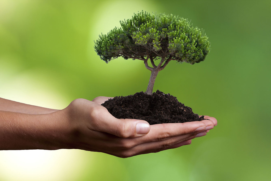 В опорном вузе Омской области подвели итоги конкурса «Декада экологии» В опорном вузе Омской области подвели итоги конкурса «Декада экологии»