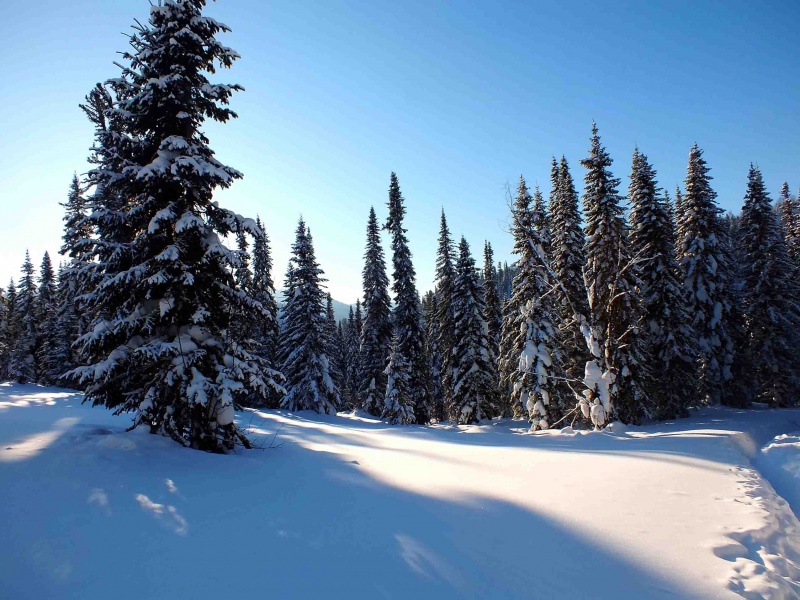 Мышка вместо гида: в Омском политехе создали 3D-экскурсии по достопримечательностям Омской области Мышка вместо гида: в Омском политехе создали 3D-экскурсии по достопримечательностям Омской области