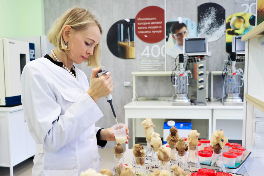 Ученые Омского политеха создали биопрепараты для добычи железа из старых телефонов и золы ТЭЦ Ученые Омского политеха создали биопрепараты для добычи железа из старых телефонов и золы ТЭЦ