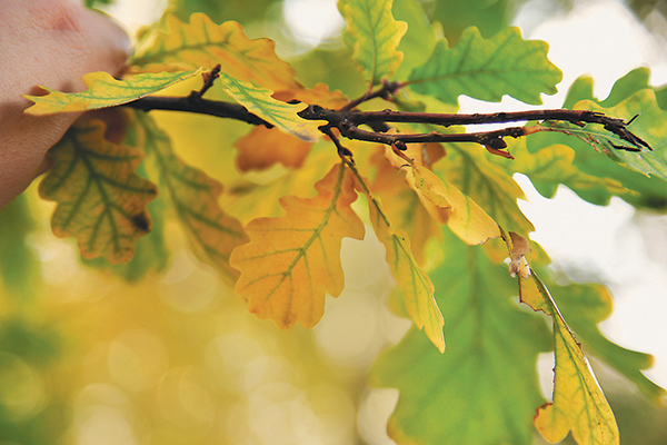 ������� �����������! � ���� ������ � ������� ������ �������� ����!