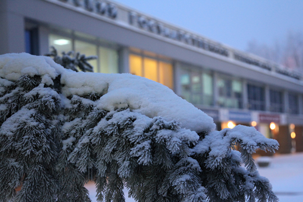 Молодые учёные и аспиранты ОмГТУ вошли в число победителей конкурса на получение стипендии Президента РФ Молодые учёные и аспиранты ОмГТУ вошли в число победителей конкурса на получение стипендии Президента РФ