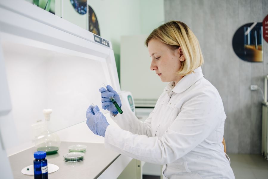 В техническом университете создали полезные сладости с белком и железом В техническом университете создали полезные сладости с белком и железом