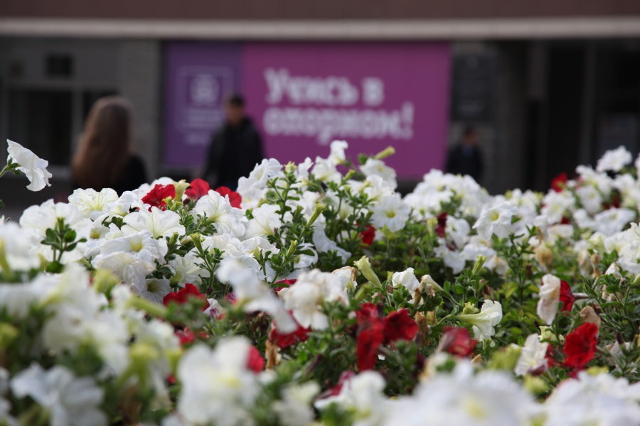 � ���� �������!