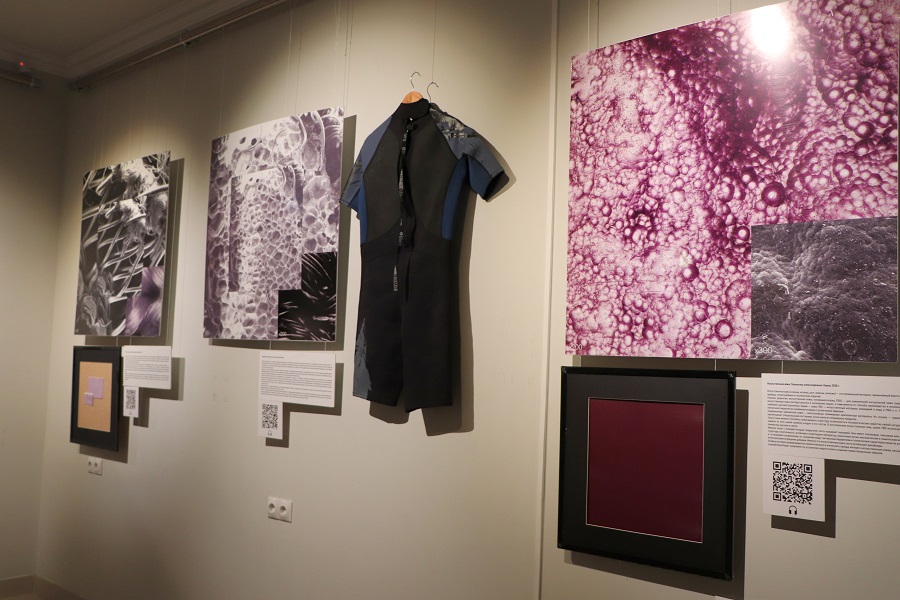 ������ ���-���������� ����������� ����������� �������� ��������� �����