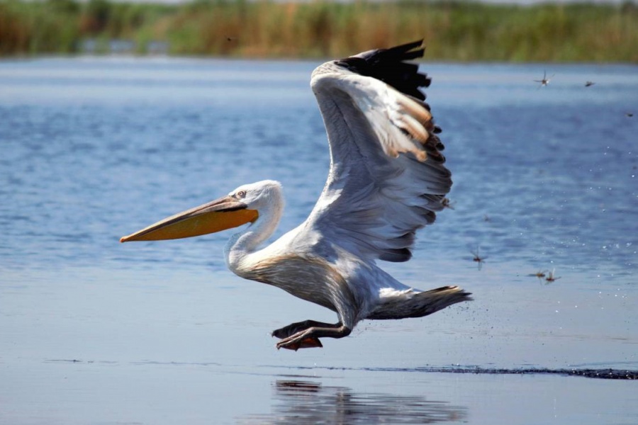 Студенты ОмГТУ разработали новые туристские маршруты Студенты ОмГТУ разработали новые туристские маршруты