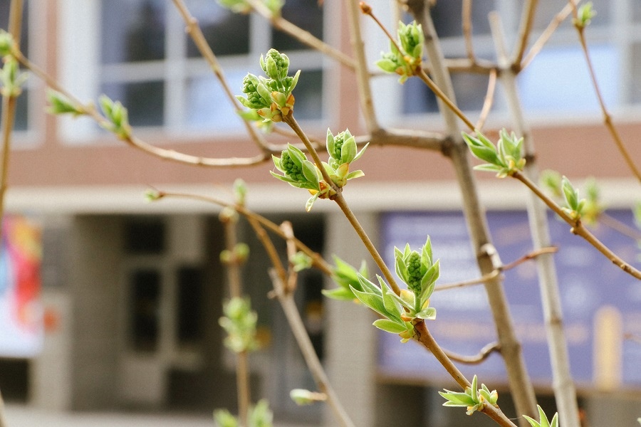 И. о. ректора Павел Корчагин поздравляет с 1 мая И. о. ректора Павел Корчагин поздравляет с 1 мая