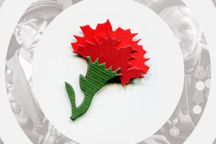 Посол Победы из ОмГТУ стала куратором патриотической акции «Красная гвоздика» в регионе Посол Победы из ОмГТУ стала куратором патриотической акции «Красная гвоздика» в регионе