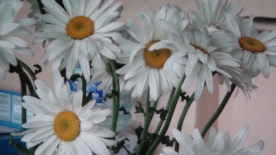 ���� �����, ����� � �������� �������� ����� �������� ������ � �������������