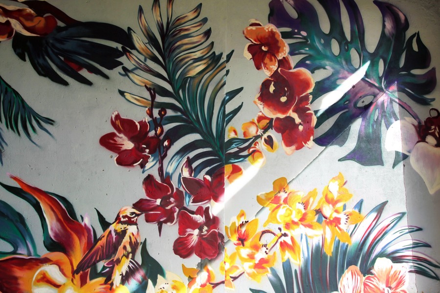 В опорном вузе Омского региона "расцвели" стены В опорном вузе Омского региона "расцвели" стены