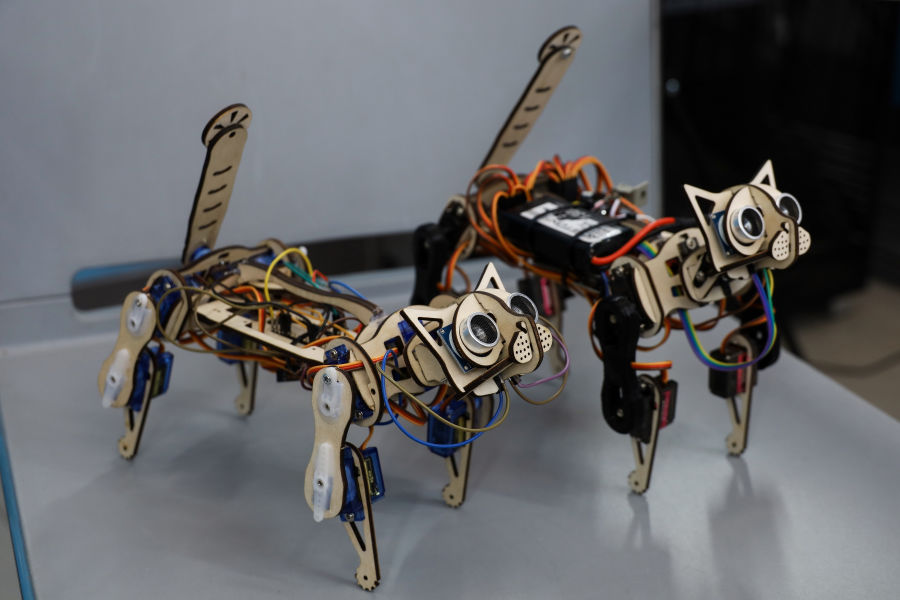 В Омском политехе создали конструктор Cybercat MechMeow для обучения робототехнике В Омском политехе создали конструктор Cybercat MechMeow для обучения робототехнике