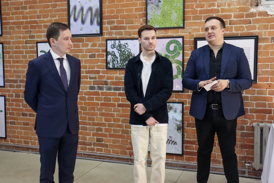 ������� ������ �������� ������� �����