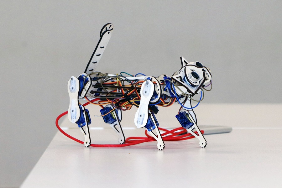 Робот-кот, портативная химическая лаборатория и приложение для бега: школьники и студенты ОмГТУ представили инновационные проекты Робот-кот, портативная химическая лаборатория и приложение для бега: школьники и студенты ОмГТУ представили инновационные проекты